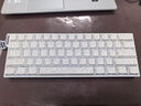 狼蛛（AULA）MINI 60HE磁軸鍵盤無線藍牙三模 RT電競游戲客制化機械鍵盤 網(wǎng)頁驅(qū)動 無畏契約 8K回報率可調(diào)死區(qū) MAX白等高線【靈云磁軸】三模RGB 曬單實拍圖