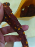 風(fēng)干雞肉干500g手撕雞胸肉條人吃減低肥脂即食解饞零食 香辣味500g*實(shí)發(fā)2袋裝 曬單實(shí)拍圖