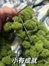 趣木也球球線(xiàn)蓋毯diy解悶手工毯子織毛毯毛線(xiàn)團球粗毛線(xiàn)編織坐墊材料包 圣誕綠色【材料包自己做】不帶球球 8團【可做約80*90cm左右的毯子】 曬單實(shí)拍圖