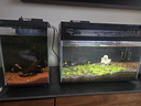 畫(huà)法幾何魚(yú)缸一體缸自循環(huán) 小米米家智能魚(yú)缸小型桌面魚(yú)缸 【贈魚(yú)糧】米家桌面魚(yú)缸（已接入米家APP） 曬單實(shí)拍圖