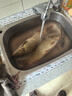 一味冰藍粉魚(yú)漂浮漂電子漂鯽魚(yú)漂高靈敏醒目加粗釣夜光漂 變色款-7號 曬單實(shí)拍圖