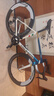COLNAGO梅花C68 意大利原產(chǎn)碳纖維碟剎全內(nèi)走線經(jīng)典延續(xù)公路自行車架 HRWP 白金藍(lán) 車架組 485 曬單實(shí)拍圖