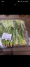 菠菜苗250g 曬單實(shí)拍圖