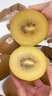佳沛（zespri）新西蘭 陽(yáng)光金奇異果12粒禮盒特大果單果約122-146g 獼猴桃 水果 曬單實(shí)拍圖