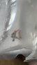 紅綠燈小型熱帶觀賞魚寶蓮燈燈科魚孔雀魚斑馬魚淡水群游好養(yǎng)耐活 1.5-2cm 紅綠燈10條送5條備損 曬單實(shí)拍圖