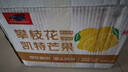 京鮮生 攀枝花凱特芒果 凈重4.5斤 單果600g 水果 源頭直發(fā)【搜生鮮館】 曬單實(shí)拍圖