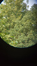 艾斯基ED專業(yè)尋找蜜蜂馬蜂用雙筒望遠(yuǎn)鏡高倍高清微光夜視防水觀鳥望眼鏡 運(yùn)動(dòng)10X50 高清ED 尋蜂專用 曬單實(shí)拍圖