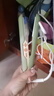 lena夾板卷發(fā)棒迷你劉海夾板便攜 小型直板夾不傷發(fā)卷直兩用 mini熨板直發(fā)卷發(fā) 學(xué)生宿舍可用 LN-H3綠 【便攜夾板】植物蛋白護(hù)發(fā)涂層 曬單實拍圖