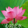 佳嬰氧氣森林紙尿褲M碼96片（6-11KG）超薄嬰兒尿不濕男女寶寶通用 曬單實拍圖