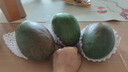 庾豐 當(dāng)季現(xiàn)摘芒果 新鮮水果整箱 熱帶青皮芒 當(dāng)季孕婦 生鮮 團(tuán)購送禮 5斤裝（凈果4.5斤）優(yōu)選果 曬單實(shí)拍圖