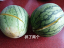 京鮮氣特小鳳冰淇淋黃壤西瓜 新鮮當(dāng)季薄皮黃肉西瓜精選果禮盒 10斤精選果4枚【禮盒裝】 曬單實(shí)拍圖