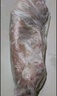 （自營）兔肉新鮮現(xiàn)殺整只冷凍白條兔肉生鮮散養(yǎng)去頭2斤/只 2斤左右白條兔1只 曬單實(shí)拍圖
