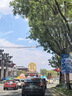 維多利亞旅行者瑜伽服女跑步運動(dòng)套裝夏季健身服普拉提短袖短褲帶胸墊兩件套紫L 曬單實(shí)拍圖