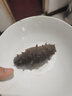 遼參大連有機冷凍海參1斤10-12只非即食京東自營旗艦店獨立包裝正品 曬單實拍圖