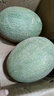 正宗新疆吐魯番哈密瓜9斤新鮮水果一整箱西州蜜25號當(dāng)季網(wǎng)紋瓜 精選8-9斤（2-3個瓜）JD快遞 曬單實拍圖