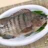 翔泰海南三去羅非魚/海南鯛1400g/共4條免處理 生鮮魚類 海鮮水產(chǎn)  曬單實拍圖