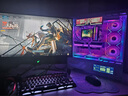 ANTGAMER螞蟻電競 24.5英寸2K300Hz顯示器 氧化物FastIPS 10Bit HDR400 1msGTG DIC技術(shù)護(hù)眼低藍(lán)光ANT253PQ 曬單實(shí)拍圖