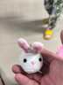 小雞養(yǎng)成屋寵物兒童切切樂玩具3-6歲9兔子女童公主女孩女生過家家 小兔養(yǎng)成屋基礎(chǔ)版+洗漱用品+松 曬單實(shí)拍圖