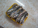 海云馨小黃魚 新鮮冷凍海鮮深海黃花魚 活魚速凍燒烤食材 【新鮮海捕】深海小黃魚4斤 曬單實拍圖