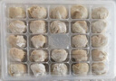 袁記味享鮮蝦蟹籽云吞500g 手工包制餛飩餃子水餃 兒童早餐抄手 袁記云餃 曬單實拍圖