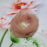 班迪猴仙女款糖果色套頭小圍脖脖子防曬護(hù)頸套脖套夏季薄款絲巾遮瑕裝飾 淡咖色【1個(gè)裝】 均碼 曬單實(shí)拍圖