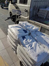 睿峰機(jī)械可騎行電動(dòng)平板車手推車工地拉沙子搬運(yùn)車裝修拉貨手推板車三輪車 【電動(dòng)手推車】-定金 曬單實(shí)拍圖