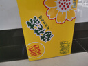 維他奶維他菊花植物飲料250ml*16盒 杭白菊 菊花茶 禮盒裝 曬單實拍圖