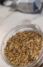 焦米茶阿爾茶大米寶寶泡水喝開(kāi)胃的備孕茶包哺乳期可以喝的炒米祛濕茶糙米茶米茶炒粳米健脾胃成人安神去內熱 【水丨晶罐】焦米茶300g/罐 1罐(量少試喝) 曬單實(shí)拍圖