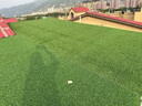 仿真草坪人工草皮地毯室外地面鋪墊足球場人造草坪塑料假草皮圍墻 【蘇超同款綠背膠】厚2厘米 【18針1米寬】幾米長拍幾件 曬單實拍圖