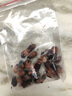 綠絲絳紫葉三葉草盆栽四季開花室內(nèi)陽臺庭院綠植花卉植物好養(yǎng)易活 紫葉酢漿草20個 曬單實拍圖