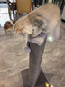 獸牌劍麻貓抓板立式貓抓柱直板l型自嗨解悶?zāi)湍ツ妥ゲ坏粜钾埻婢?巖灰丨耐抓不掉屑 曬單實(shí)拍圖