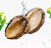 江船長無殼鮑魚肉凈重110g(12粒） 活鮑加工 火鍋燒烤海鮮水產  生鮮 曬單實拍圖