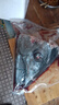 漁人百味 金槍魚頭1.2-3.5kg新鮮金槍魚肉金槍魚眼低溫冷凍燒烤燉湯日本料理熟吃健康輕食 金槍魚頭1.2-1.5kg 曬單實拍圖