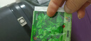 四季食用紫蘇種子薄荷種子細(xì)葉苦苣種子家庭四季陽臺種植盆栽驅(qū)蚊 驅(qū)蚊食用薄荷家庭種約1000粒1包 曬單實拍圖