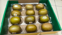 佳沛（zespri）新西蘭 陽光金奇異果12粒禮盒特大果單果約122-146g 獼猴桃 水果 曬單實拍圖