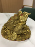 繽越黃銅金蟾招財(cái)擺件銅金蟾蜍三足金蟾金蟬擺件客廳玄關(guān)擺件開(kāi)業(yè)禮物 曬單實(shí)拍圖