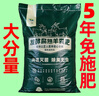 純羊糞發(fā)酵有機肥蔬菜專用肥料雞糞肥種花通用養(yǎng)花土養(yǎng)花營養(yǎng)土 【半價搶購】倒計時：00:08:16 精裝羊糞農(nóng)家肥50斤-肥力持久 曬單實拍圖