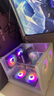逆昂128G內(nèi)存酷睿i7升24核電競(jìng)臺(tái)式機(jī)電腦4060電競(jìng)主機(jī)吃雞獨(dú)顯辦公組裝大額補(bǔ)貼家用游戲水冷電腦整機(jī) 主機(jī)+32英寸【高刷顯示器+鍵鼠套裝】 套四：i9級(jí)36芯8G獨(dú)顯/64G/1T暢玩3A 曬單實(shí)拍圖