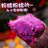 正宗現(xiàn)挖沙地紫羅蘭紫薯 香甜粉糯紫薯時令蔬菜 精品裝單根50g+ 5斤帶箱【凈重4.5斤】 曬單實拍圖