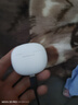 魅族（MEIZU）PANDAER Air 真無線藍(lán)牙耳機(jī) 極空青色 ENC通話降噪 適用蘋果華為小米等手機(jī) 送男女友學(xué)生 可送禮 曬單實(shí)拍圖