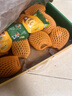 佳沛（zespri）新西蘭  陽光金奇異果10粒禮盒巨大果單果約144-175g 水果 獼猴桃 曬單實拍圖