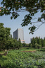 尼康 Nikon 35 50 85 105mm二手單反鏡頭 全畫幅金圈定焦廣角百微距 35mm f/1.4G 99新 曬單實(shí)拍圖