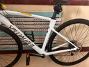 SPECIALIZED閃電 ROUBAIX SL8 男/女耐力碳纖維騎行公路自行車(chē) 晨霧色/煙灰色 52 曬單實(shí)拍圖