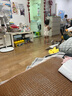 歡喜小熊6個(gè)月-3歲女寶寶吊帶背心夏季內(nèi)搭打底上衣嬰兒衣服 曬單實(shí)拍圖