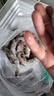 繽鮮 蝦 青島大蝦基圍蝦鮮活青蝦白蝦海蝦對蝦冰蝦凍蝦生鮮 蝦類(lèi)批發(fā) 鹽凍大蝦 3.6斤(凈重)  14-16cm【單只凍 只只分離】 曬單實(shí)拍圖