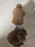 MOEPIE狗狗牽引繩狗繩小型犬泰迪比熊雪納瑞胸背帶2025蕾絲花朵胸背 紫色＋牽引繩 S（推薦7-10斤） 曬單實(shí)拍圖