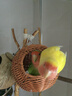 YEEyee鸚鵡仿藤編鳥(niǎo)窩夏季透氣耐啃咬虎皮珍珠文鳥(niǎo)懸掛躲避用品 鸚鵡仿藤編鳥(niǎo)窩 曬單實(shí)拍圖