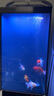 漢霸2025新款魚缸客廳家用底濾小型超白玻璃造景水族箱智能落地 冰川白【底濾*到手就養(yǎng)魚】 40x40x125cm 曬單實拍圖