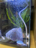 畫法幾何魚缸增氧泵養(yǎng)魚氧氣泵小米米家智能魚缸專用 米家魚缸專用增氧泵【贈(zèng)全套配件】 曬單實(shí)拍圖