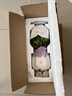 雅韻閣花鏡鉆石翡翠吊蘭室內(nèi)植物名貴家中電視柜旁邊綠植好養(yǎng)活四季常青 鉆石翡翠【豎紋圓瓷花器】 帶盆栽好 曬單實(shí)拍圖
